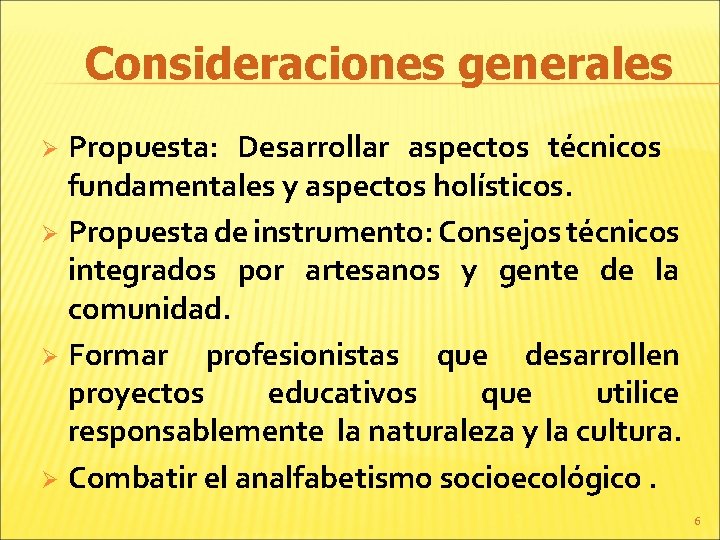 Consideraciones generales Propuesta: Desarrollar aspectos técnicos fundamentales y aspectos holísticos. Ø Propuesta de instrumento: