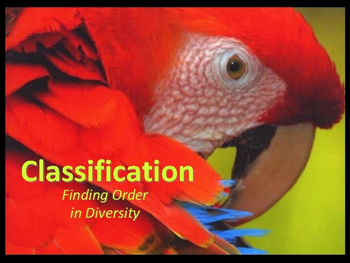 Classification Finding Order in Diversity 