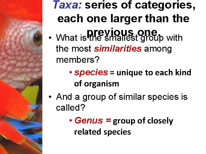 Taxa: series of categories, each one larger than the previous one. • What is