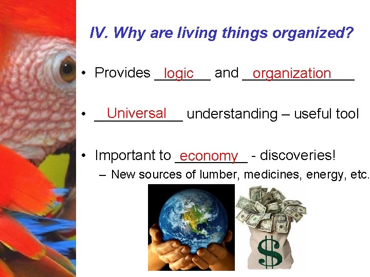 IV. Why are living things organized? • Provides _______ logic and _______ organization Universal