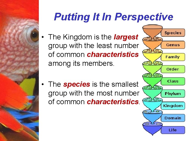 Putting It In Perspective • The Kingdom is the largest group with the least