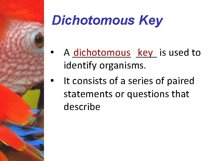 Dichotomous Key • A ______ dichotomous ____ key is used to identify organisms. •