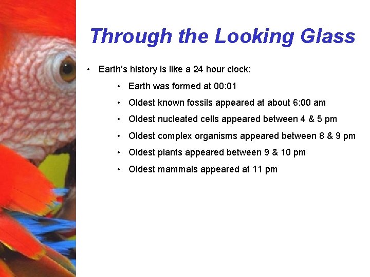 Through the Looking Glass • Earth’s history is like a 24 hour clock: •