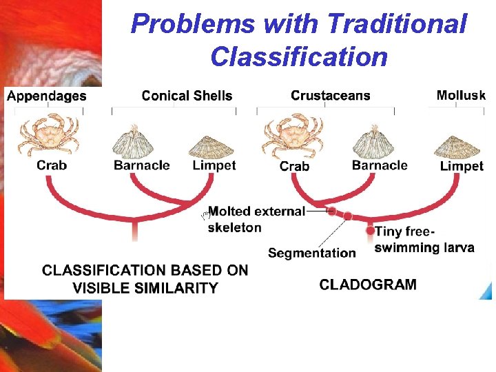 Problems with Traditional Classification 