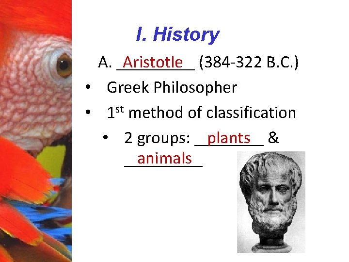 I. History Aristotle (384 -322 B. C. ) A. _____ • Greek Philosopher •