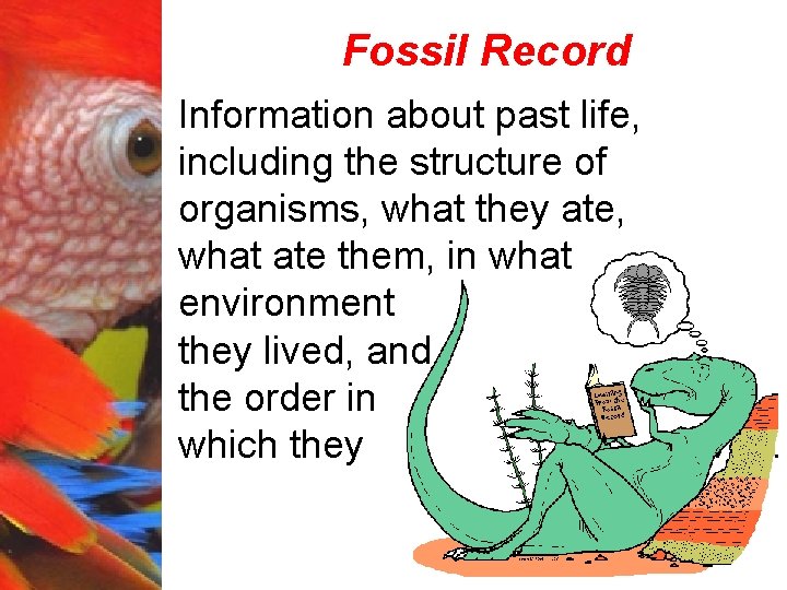 Fossil Record Information about past life, including the structure of organisms, what they ate,