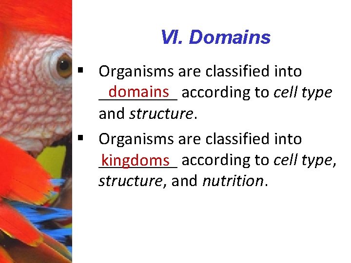 VI. Domains § Organisms are classified into domains according to cell type _____ and