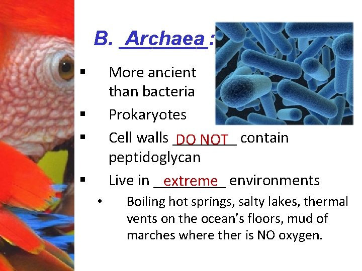 B. ____: Archaea More ancient than bacteria Prokaryotes Cell walls ____ DO NOT contain