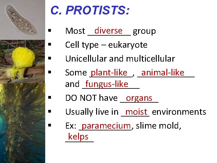 C. PROTISTS: § § § § diverse group Most _____ Cell type – eukaryote