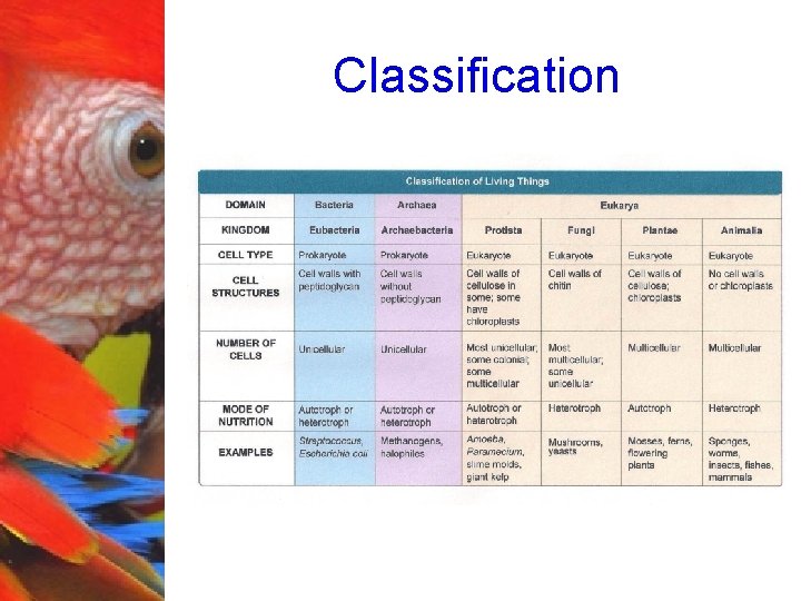 Classification 