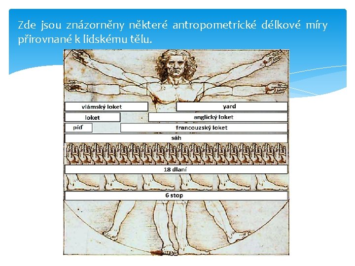 Zde jsou znázorněny některé antropometrické délkové míry přirovnané k lidskému tělu. 