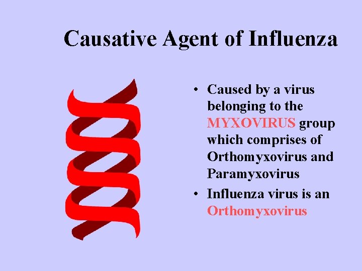 Causative Agent of Influenza • Caused by a virus belonging to the MYXOVIRUS group