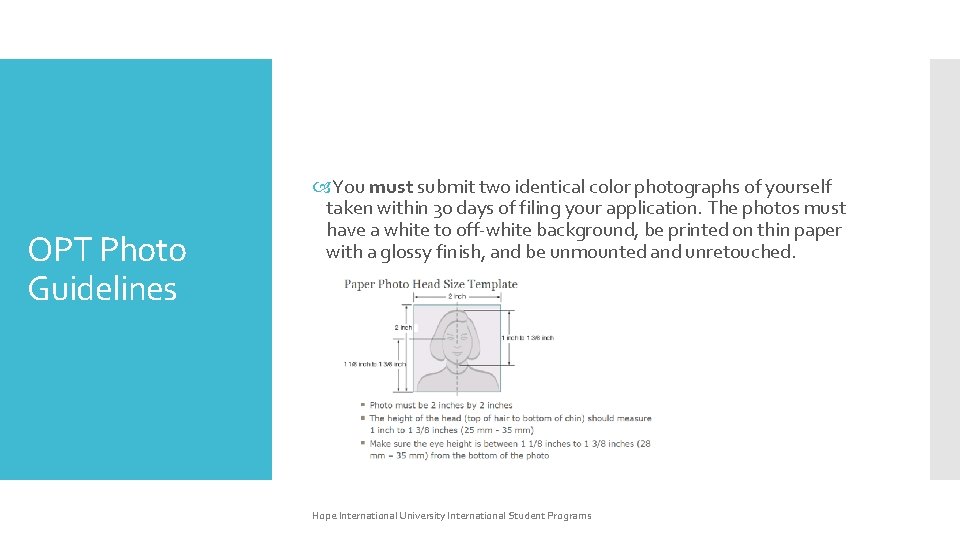 OPT Photo Guidelines You must submit two identical color photographs of yourself taken within