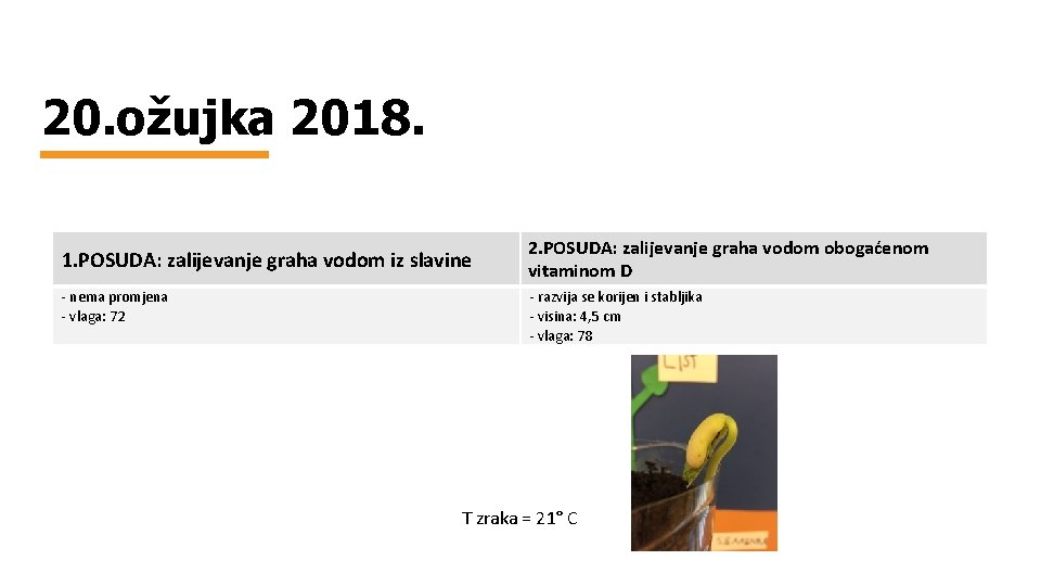 20. ožujka 2018. 1. POSUDA: zalijevanje graha vodom iz slavine - nema promjena -