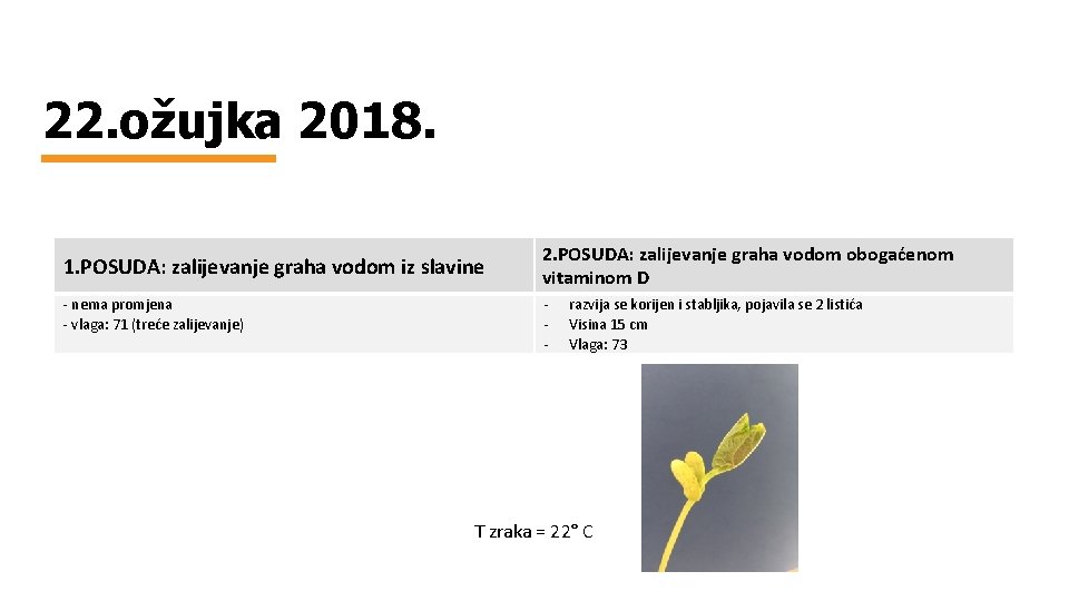 22. ožujka 2018. 1. POSUDA: zalijevanje graha vodom iz slavine - nema promjena -