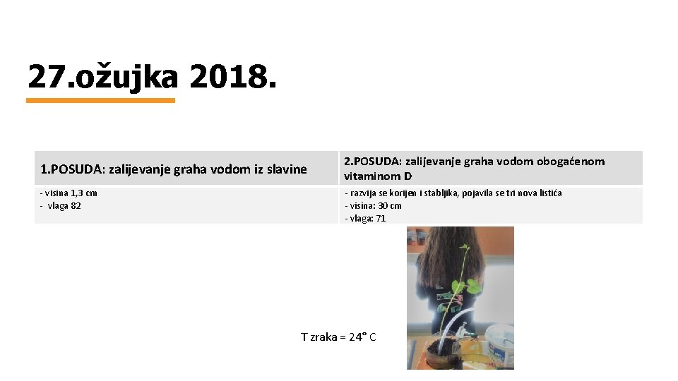 27. ožujka 2018. 1. POSUDA: zalijevanje graha vodom iz slavine - visina 1, 3