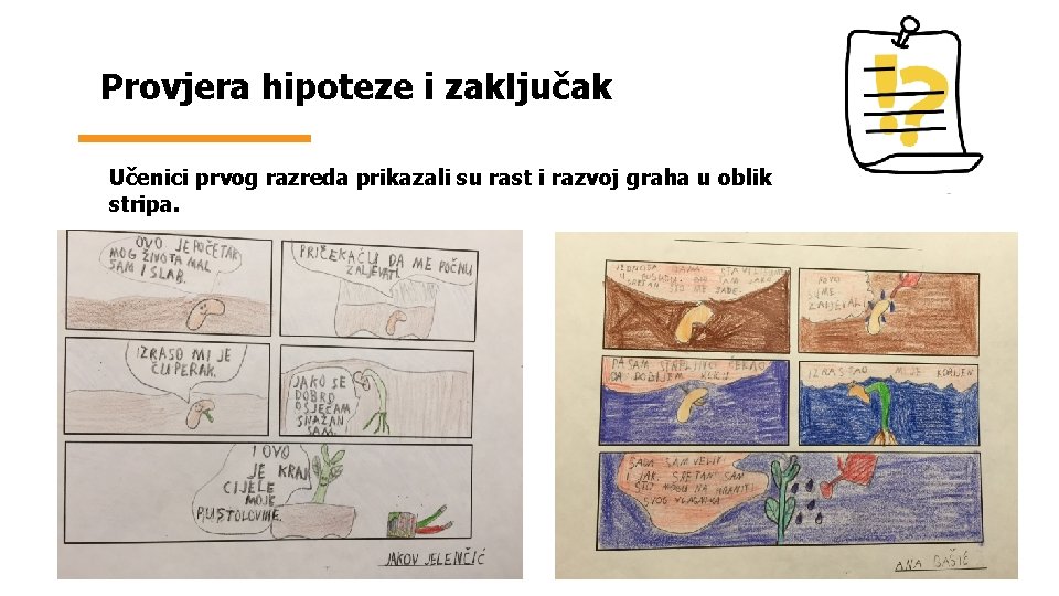 Provjera hipoteze i zaključak Učenici prvog razreda prikazali su rast i razvoj graha u