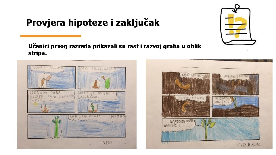 Provjera hipoteze i zaključak Učenici prvog razreda prikazali su rast i razvoj graha u