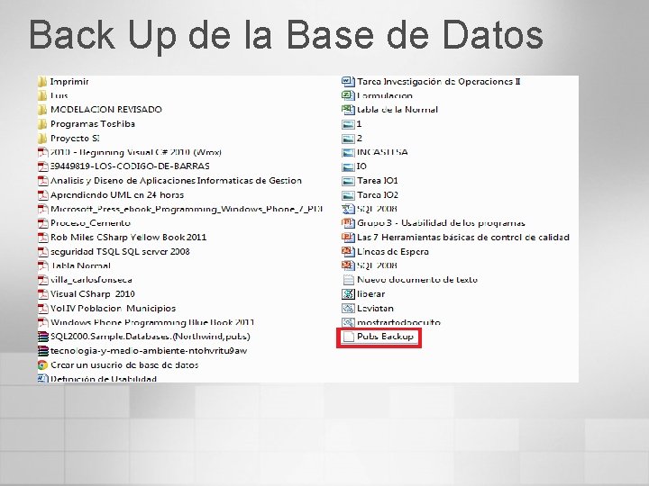 Back Up de la Base de Datos 