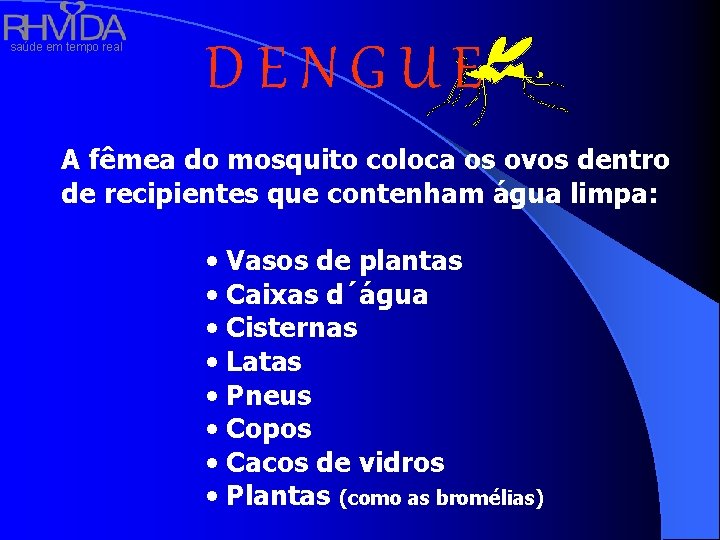 saúde em tempo real DENGUE A fêmea do mosquito coloca os ovos dentro de