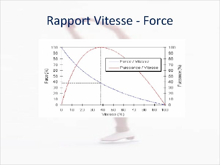 Rapport Vitesse - Force 