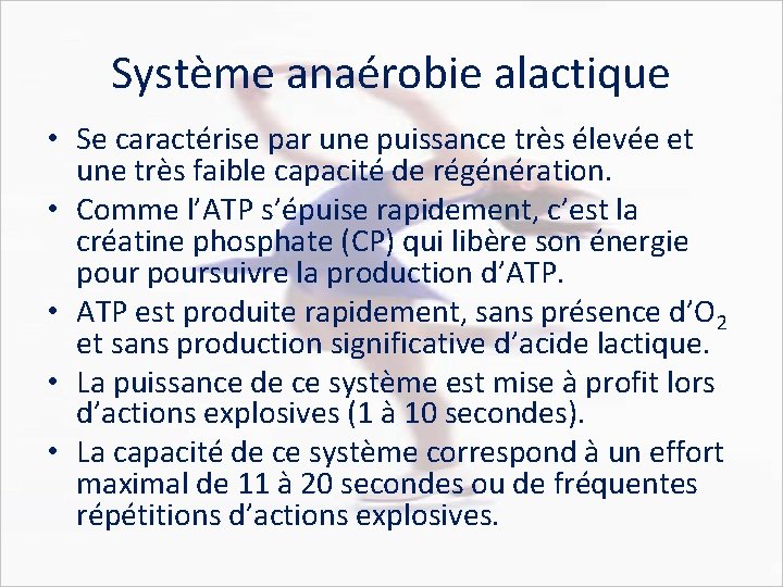 Système anaérobie alactique • Se caractérise par une puissance très élevée et une très