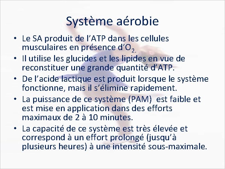 Système aérobie • Le SA produit de l’ATP dans les cellules musculaires en présence