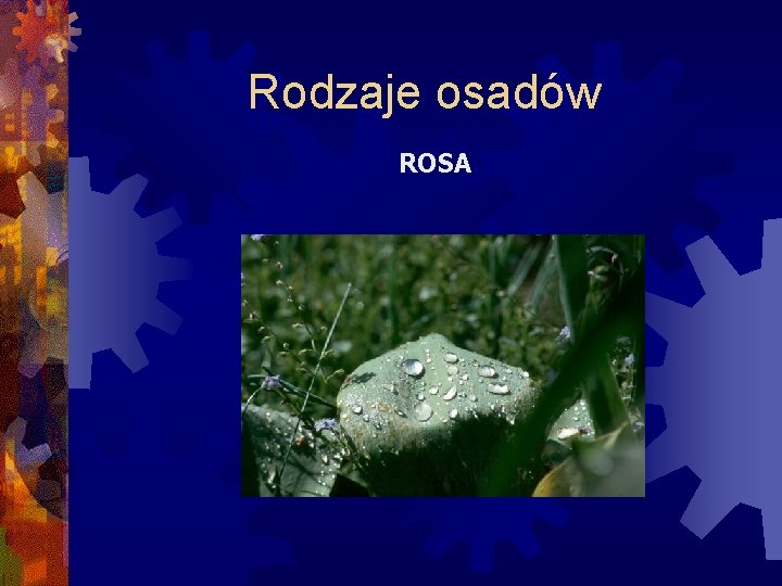 Rodzaje osadów ROSA 