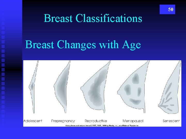 Breast Classifications Breast Changes with Age 50 
