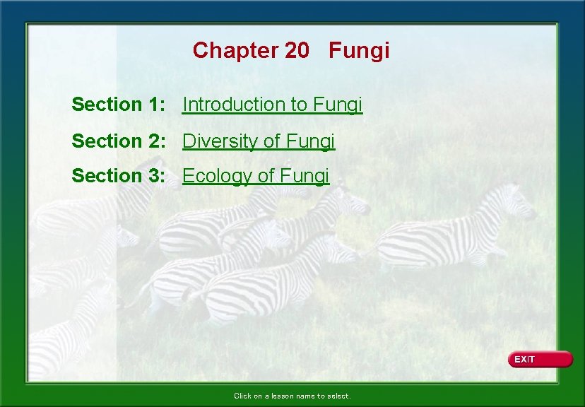 Chapter 20 Fungi Section 1: Introduction to Fungi Section 2: Diversity of Fungi Section
