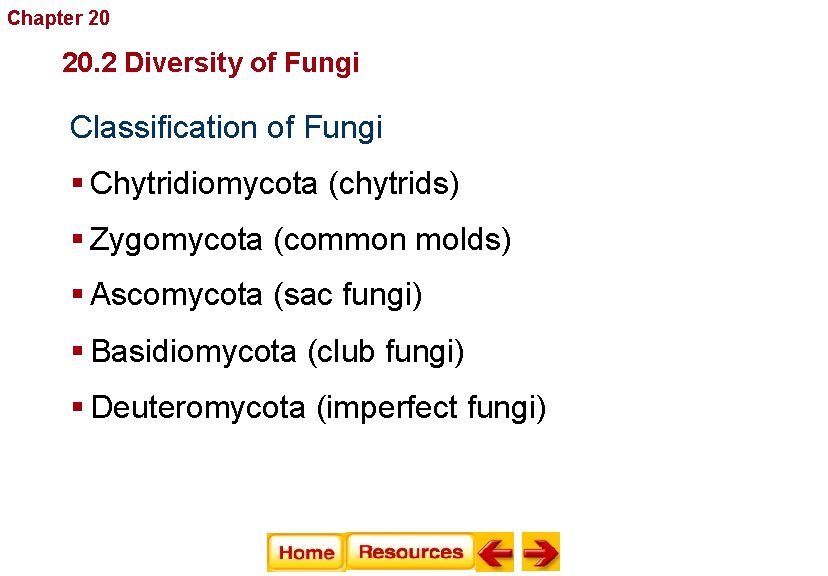 Chapter 20 Fungi 20. 2 Diversity of Fungi Classification of Fungi § Chytridiomycota (chytrids)