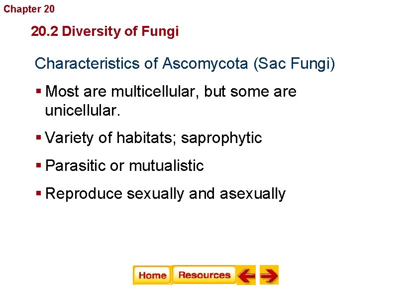 Chapter 20 Fungi 20. 2 Diversity of Fungi Characteristics of Ascomycota (Sac Fungi) §