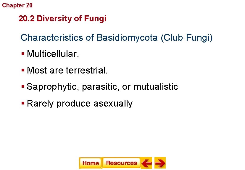 Chapter 20 Fungi 20. 2 Diversity of Fungi Characteristics of Basidiomycota (Club Fungi) §