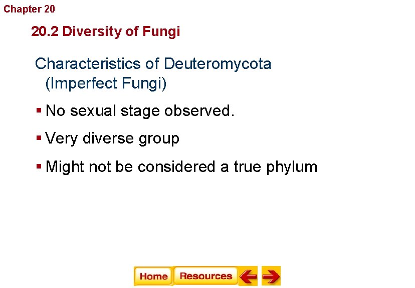 Chapter 20 Fungi 20. 2 Diversity of Fungi Characteristics of Deuteromycota (Imperfect Fungi) §