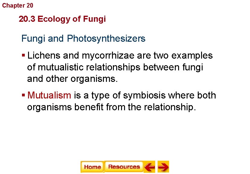 Chapter 20 Fungi 20. 3 Ecology of Fungi and Photosynthesizers § Lichens and mycorrhizae