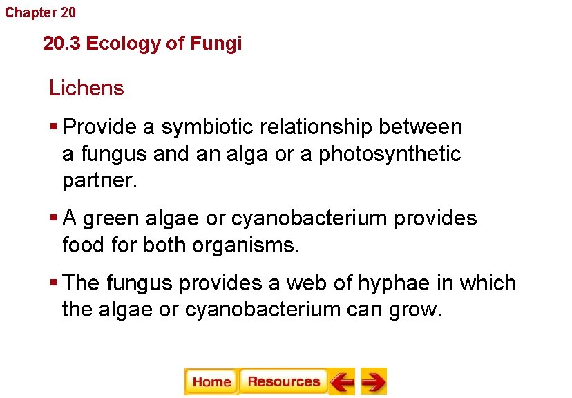 Chapter 20 Fungi 20. 3 Ecology of Fungi Lichens § Provide a symbiotic relationship