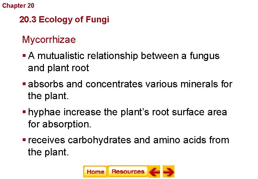 Chapter 20 Fungi 20. 3 Ecology of Fungi Mycorrhizae § A mutualistic relationship between