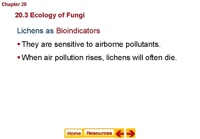 Chapter 20 Fungi 20. 3 Ecology of Fungi Lichens as Bioindicators § They are