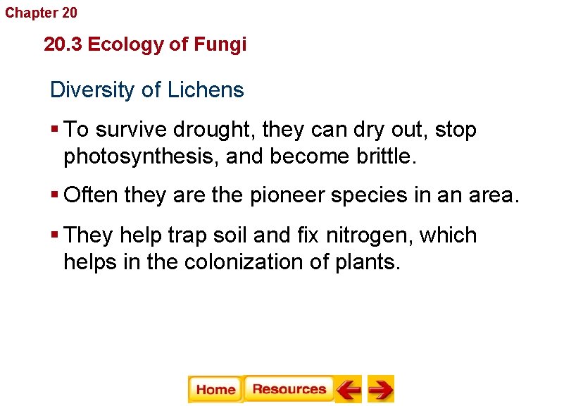 Chapter 20 Fungi 20. 3 Ecology of Fungi Diversity of Lichens § To survive