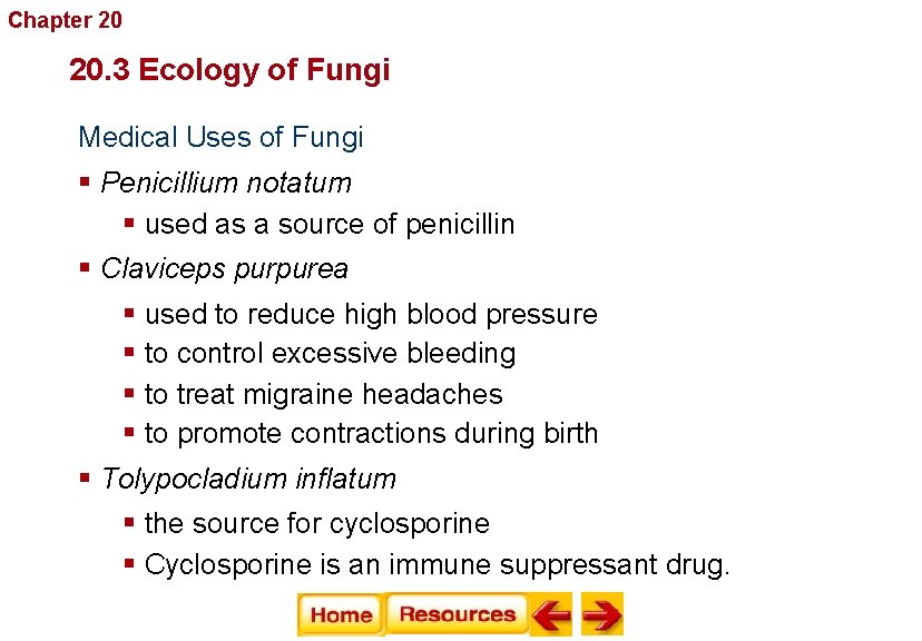 Chapter 20 Fungi 20. 3 Ecology of Fungi Medical Uses of Fungi § Penicillium