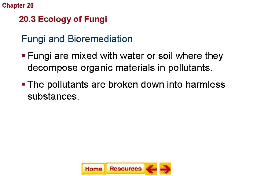 Chapter 20 Fungi 20. 3 Ecology of Fungi and Bioremediation § Fungi are mixed