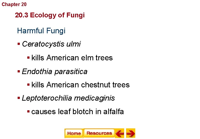 Chapter 20 Fungi 20. 3 Ecology of Fungi Harmful Fungi § Ceratocystis ulmi §