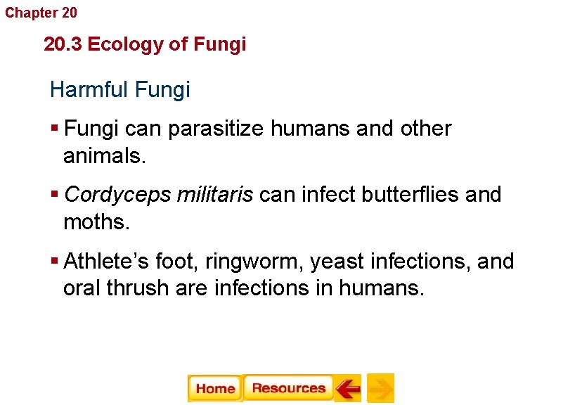Chapter 20 Fungi 20. 3 Ecology of Fungi Harmful Fungi § Fungi can parasitize