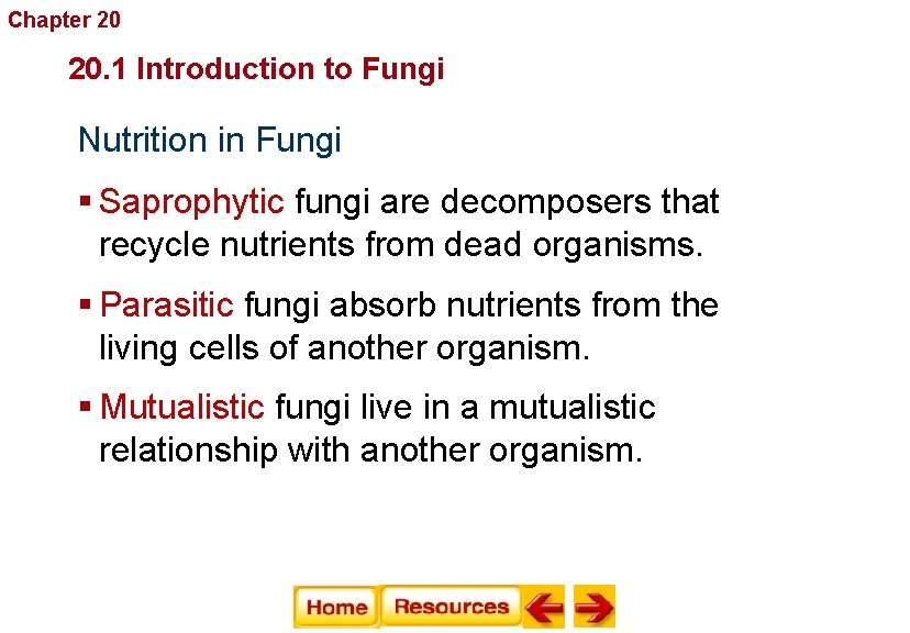 Chapter 20 Fungi 20. 1 Introduction to Fungi Nutrition in Fungi § Saprophytic fungi