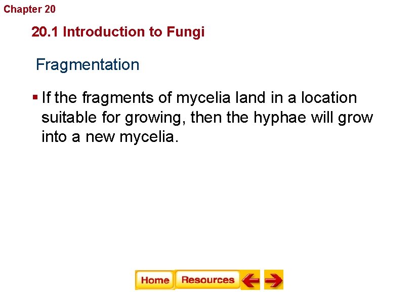 Chapter 20 Fungi 20. 1 Introduction to Fungi Fragmentation § If the fragments of