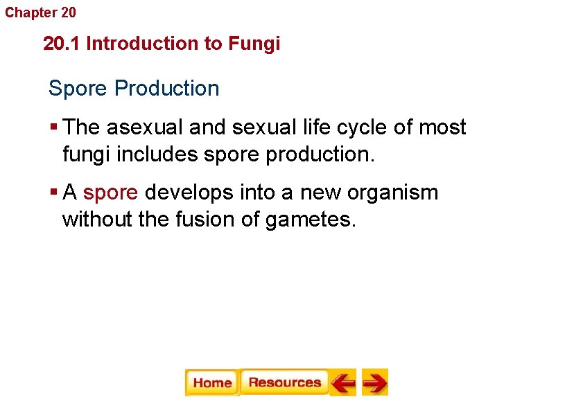 Chapter 20 Fungi 20. 1 Introduction to Fungi Spore Production § The asexual and