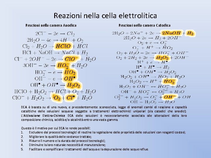 Reazioni nella cella elettrolitica Reazioni nella camera Anodica Reazioni nella camera Catodica ECA è