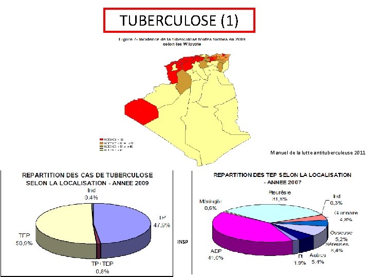 TUBERCULOSE (1) Manuel de la lutte antituberculeuse 2011 INSP 