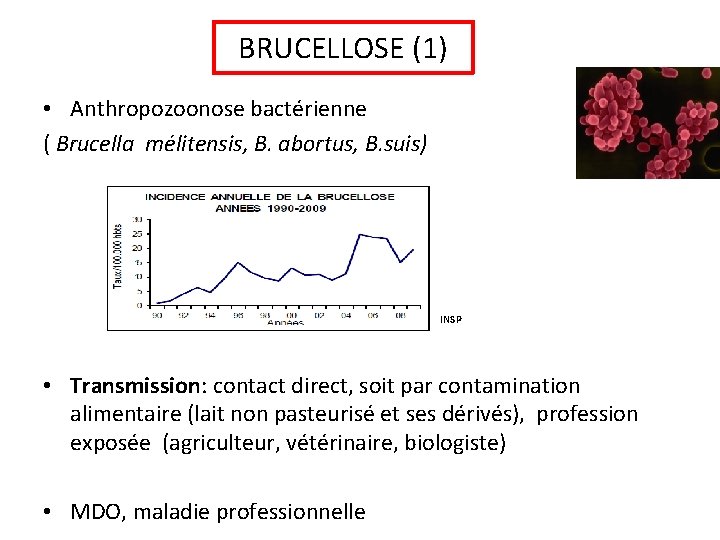 BRUCELLOSE (1) • Anthropozoonose bactérienne ( Brucella mélitensis, B. abortus, B. suis) INSP •