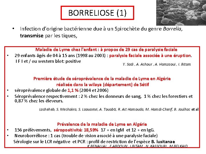 BORRELIOSE (1) • Infection d’origine bactérienne due à un Spirochète du genre Borrelia, transmise